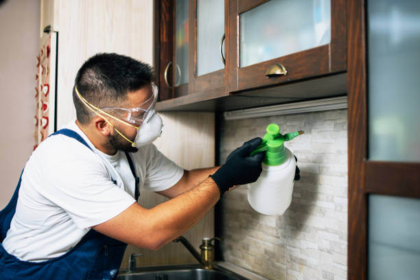 Best Pest Prevention Services  in Sweet Springs, MO