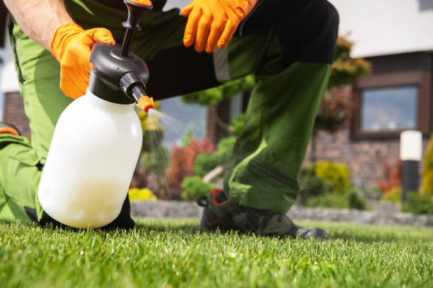 Best Residential Pest Control  in Sweet Springs, MO