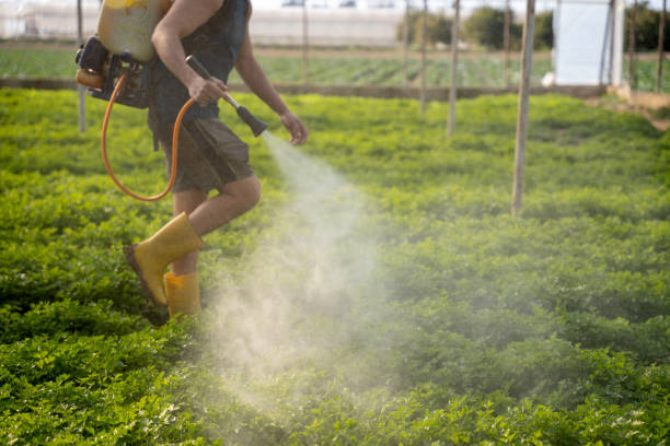 Best Commercial Pest Control Services  in Sweet Springs, MO