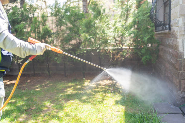 Bird Control in Sweet Springs, MO